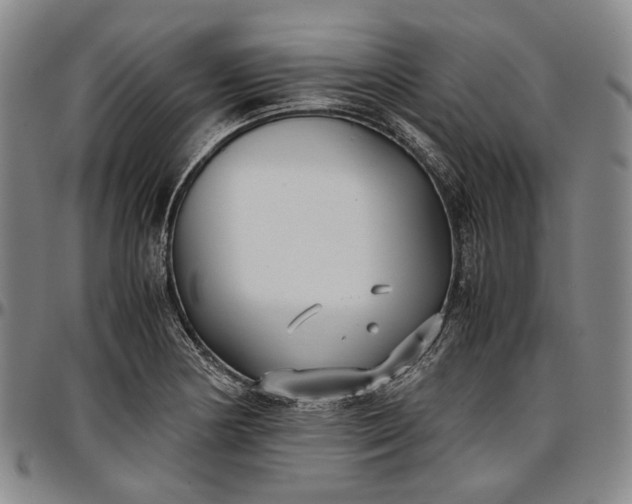 X0000096651178200802191235