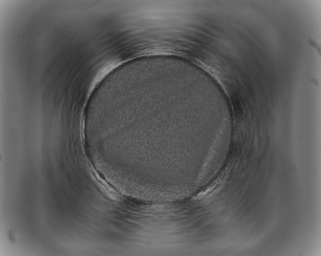 X0000096651179200802191235