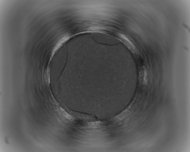 X0000096651180200802191235