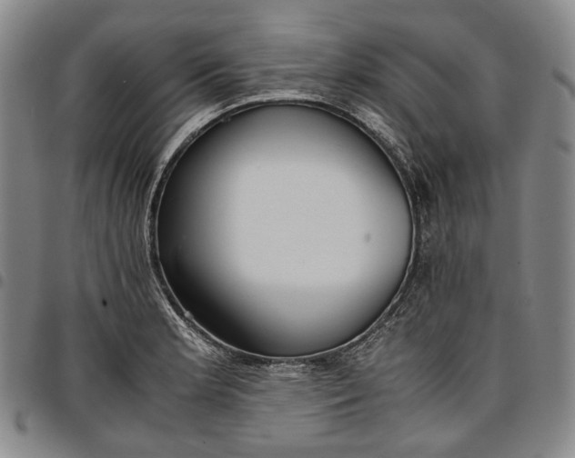 X0000096651181200802191235
