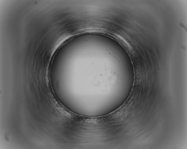 X0000096651182200802191235