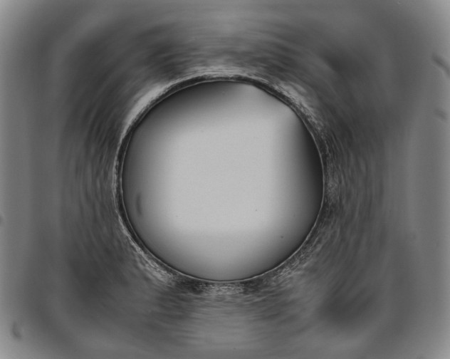 X0000096651183200802191235