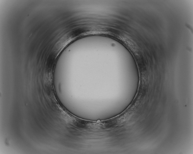 X0000096651185200802191235