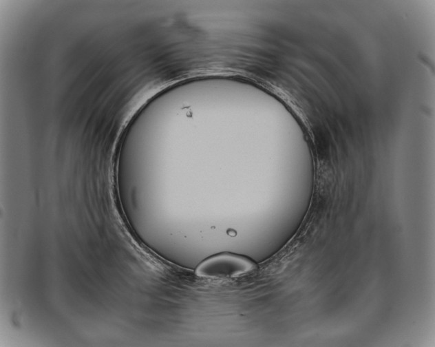 X0000096651187200802191235