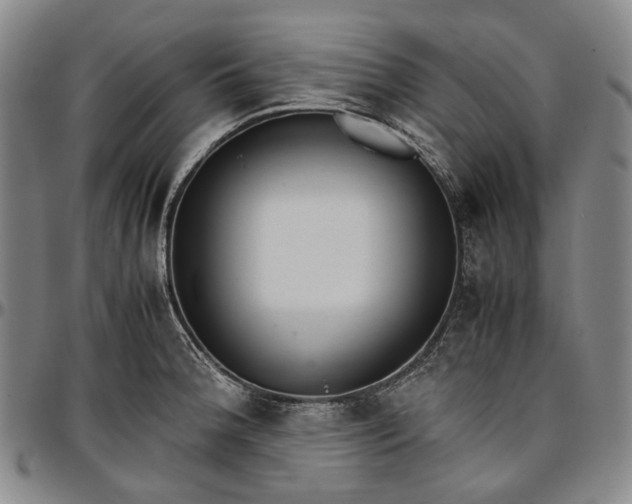 X0000096651188200802191235