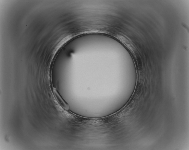 X0000096651189200802191235
