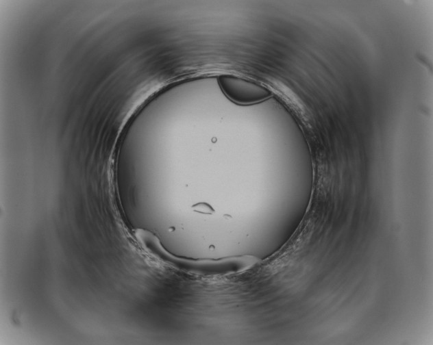 X0000096651190200802191235