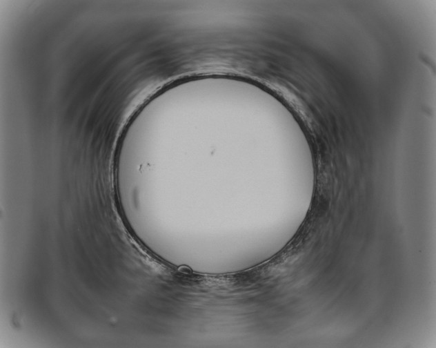 X0000096651191200802191235