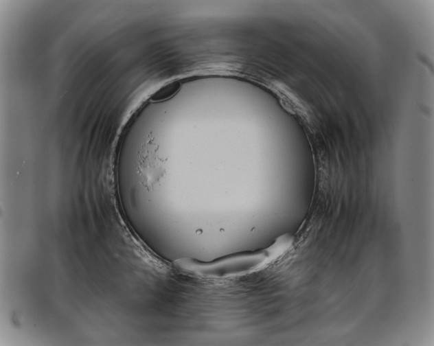 X0000096651192200802191235