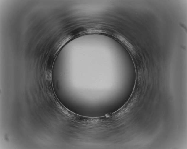 X0000096651193200802191235
