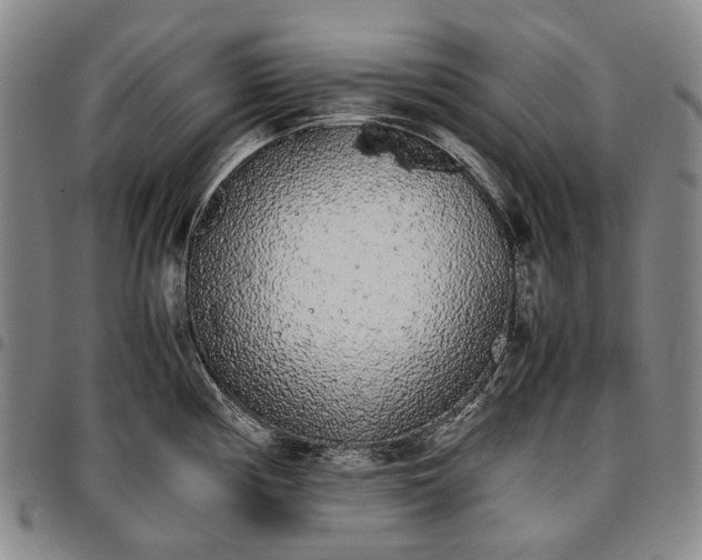 X0000096651194200802191235