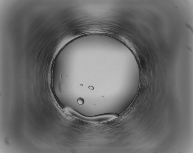 X0000096651195200802191235