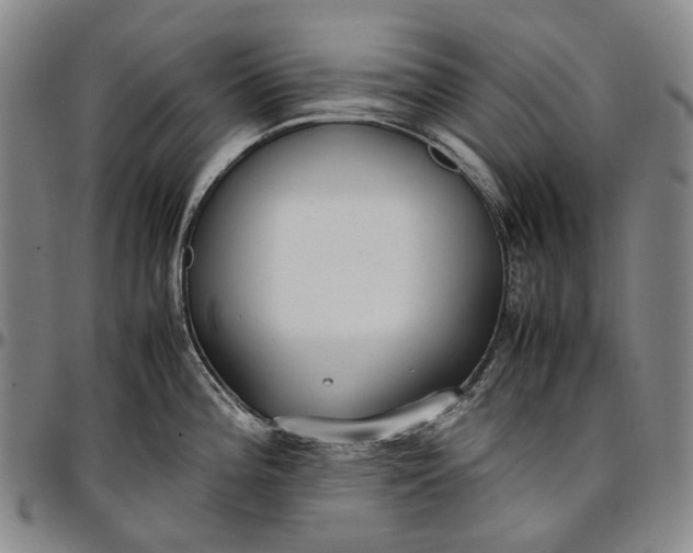 X0000096651196200802191235
