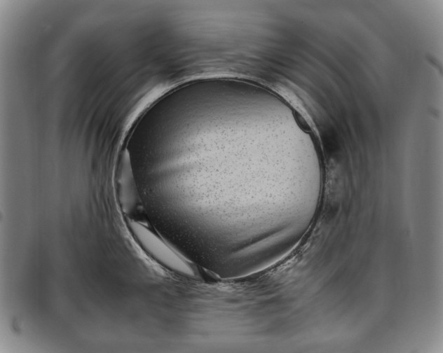 X0000096651197200802191235