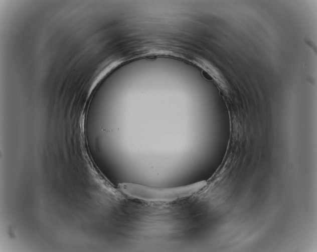 X0000096651198200802191235