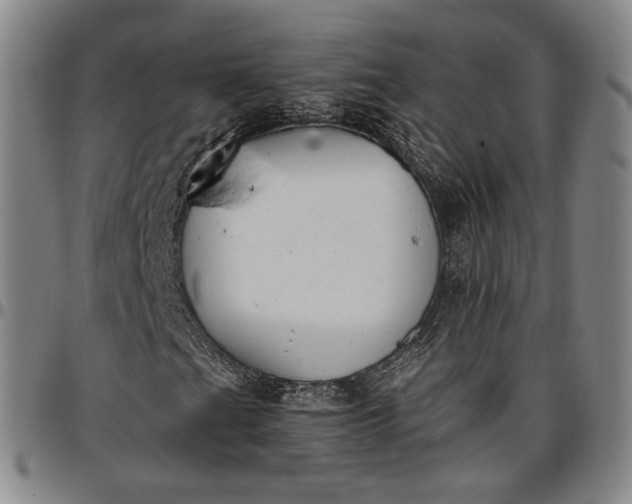 X0000096651201200802191235
