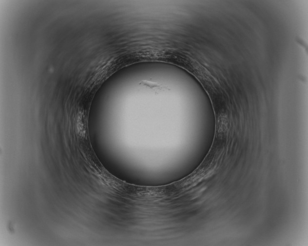 X0000096651202200802191235