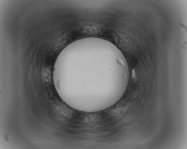 X0000096651203200802191235