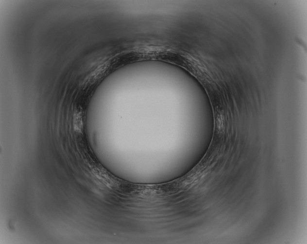 X0000096651204200802191235