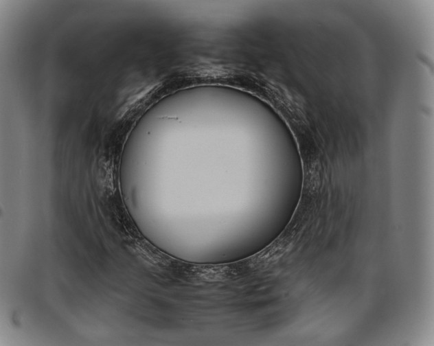 X0000096651205200802191235