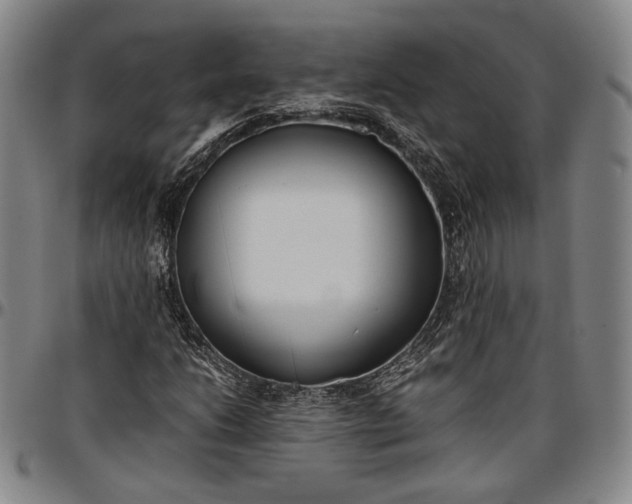X0000096651206200802191235