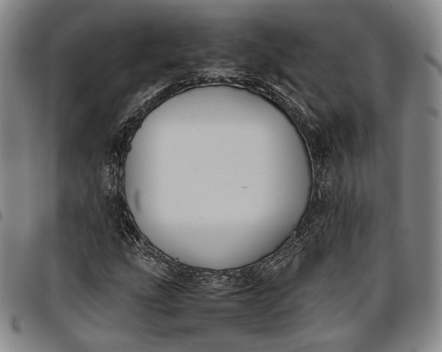 X0000096651207200802191235