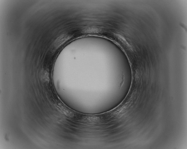 X0000096651209200802191235