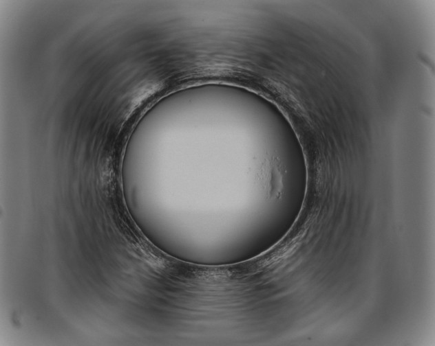 X0000096651210200802191235