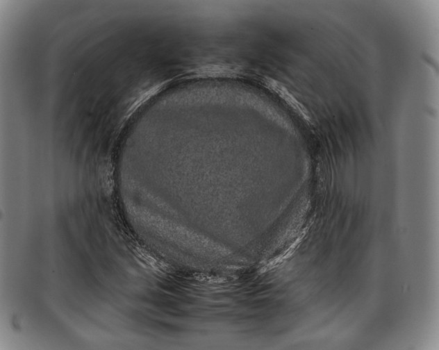 X0000096651213200802191235