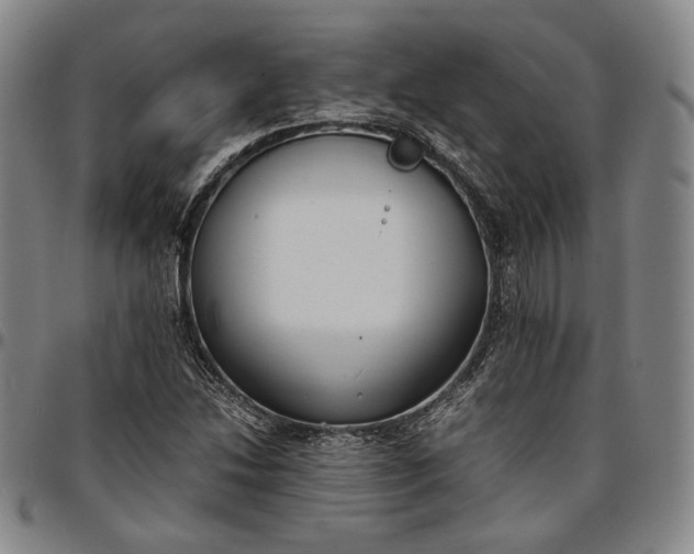 X0000096651214200802191235