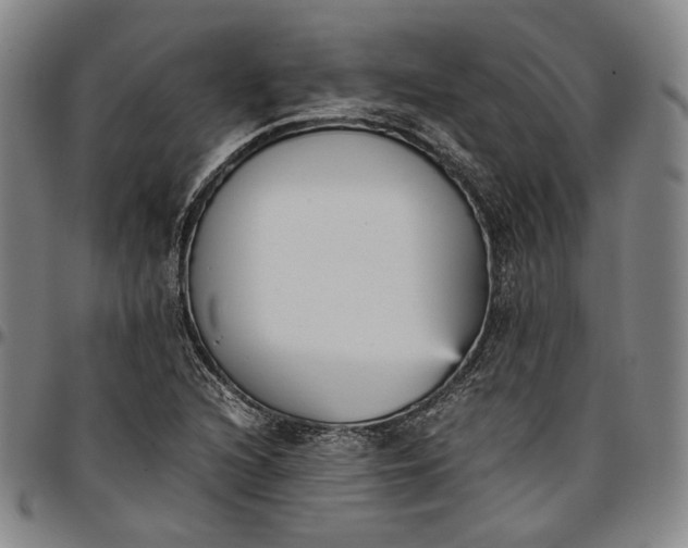 X0000096651216200802191235