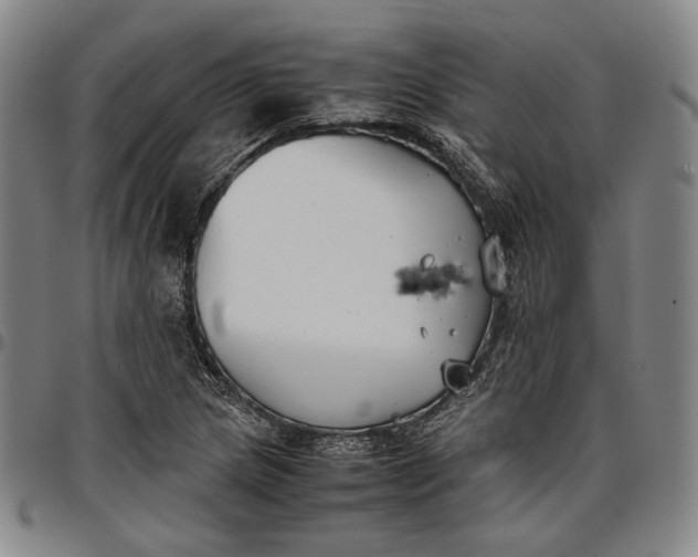 X0000096651217200802191235