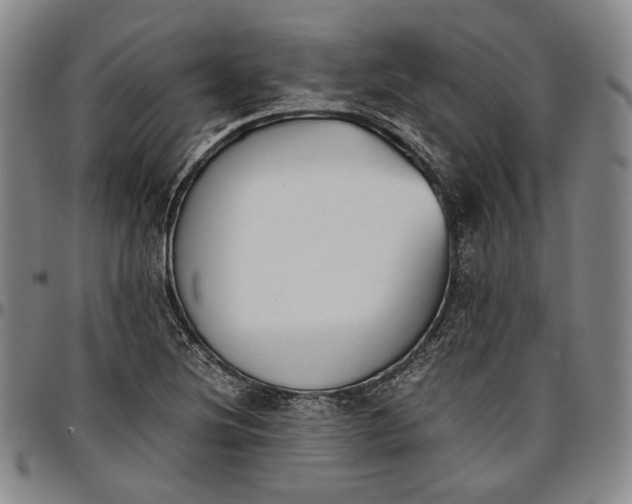 X0000096651220200802191235