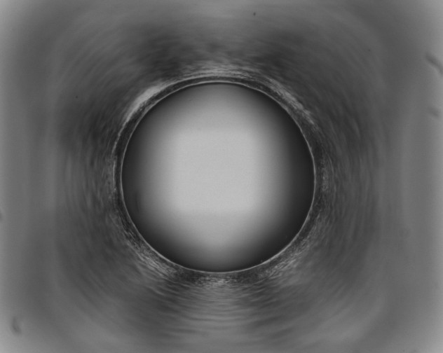 X0000096651222200802191235