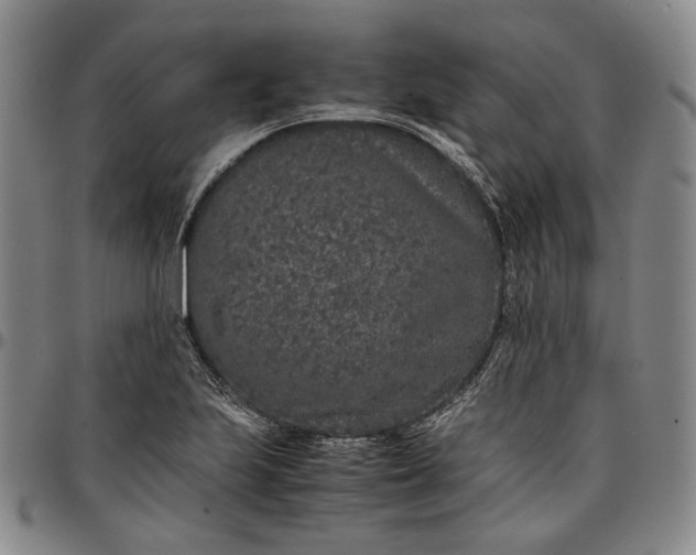 X0000096651223200802191235