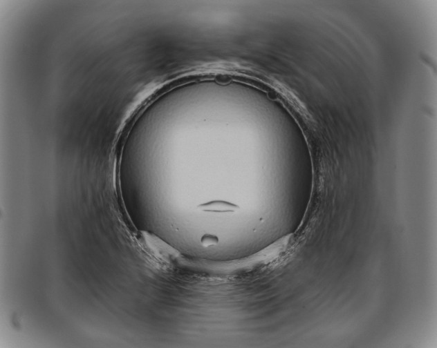 X0000096651224200802191235