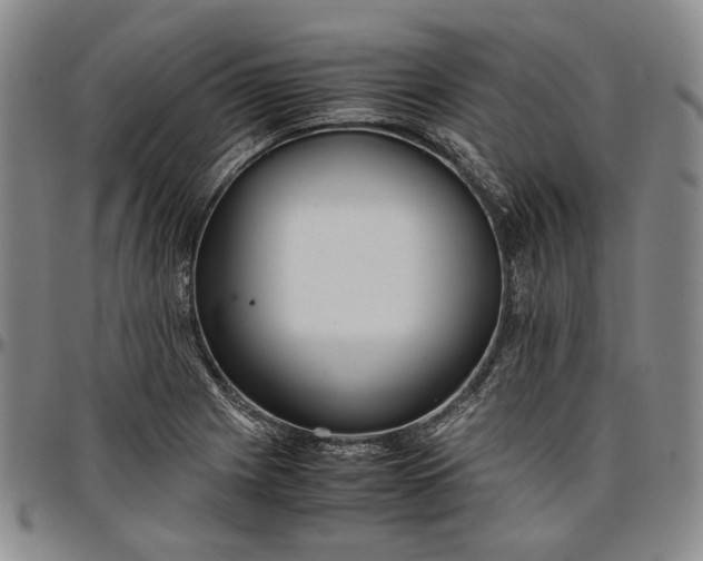 X0000096651225200802191235