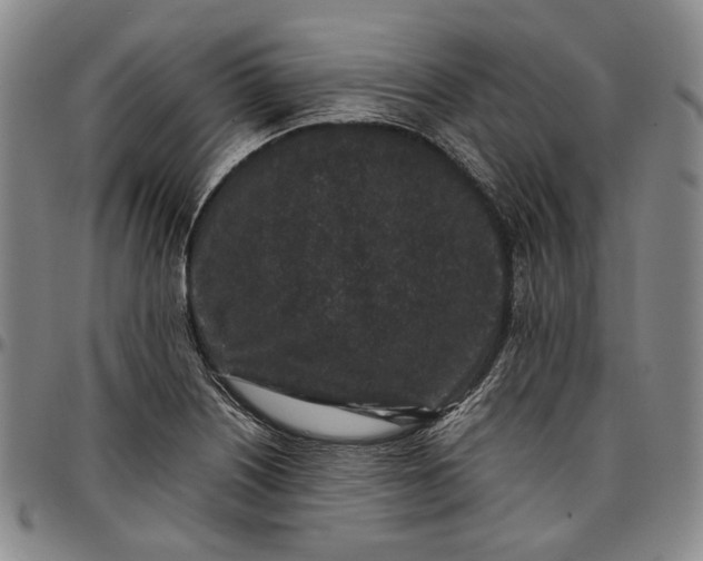 X0000096651226200802191235