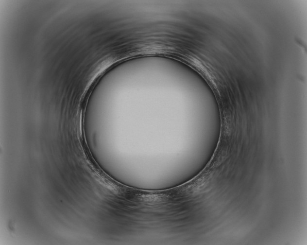 X0000096651227200802191235