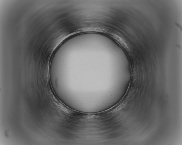 X0000096651228200802191235