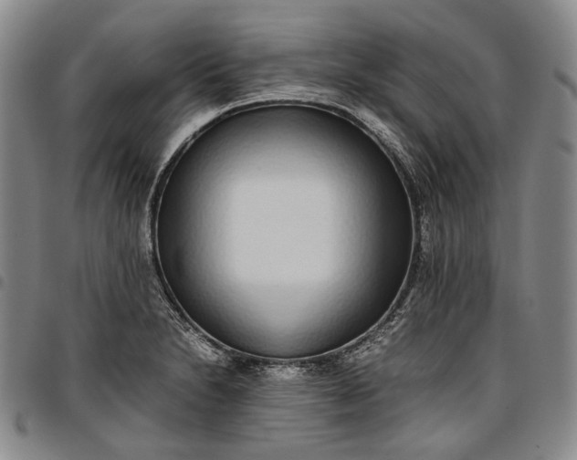 X0000096651230200802191235