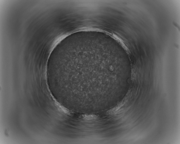 X0000096651231200802191235
