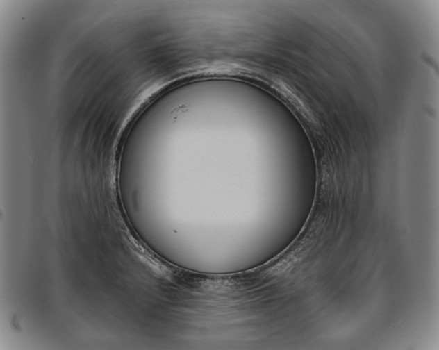 X0000096651232200802191235