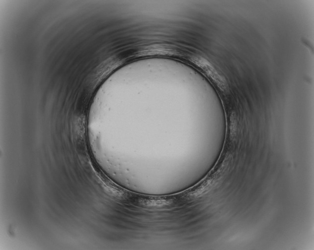 X0000096651233200802191235