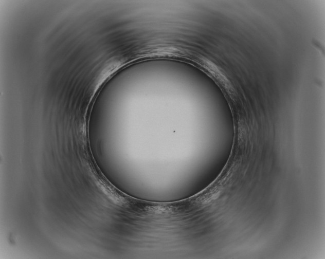 X0000096651234200802191235