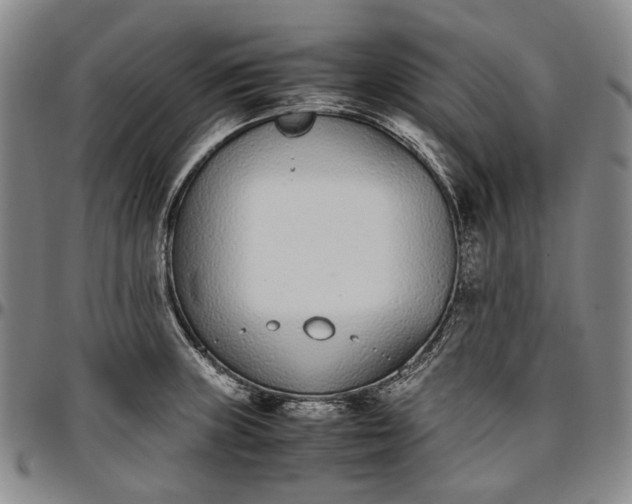 X0000096651235200802191235