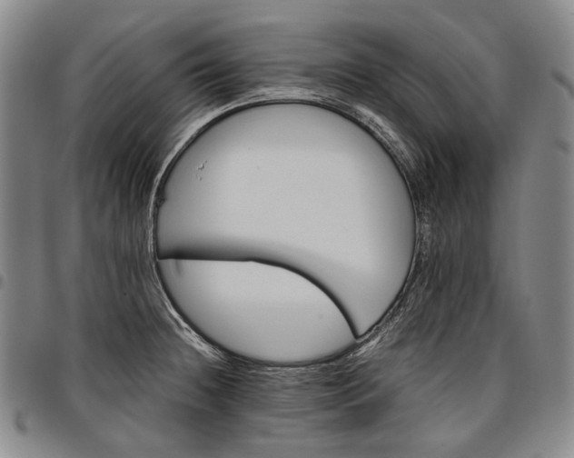 X0000096651236200802191235