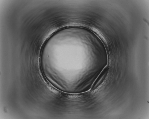 X0000096651237200802191235