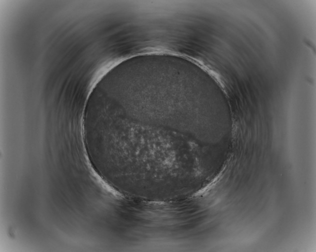 X0000096651239200802191235