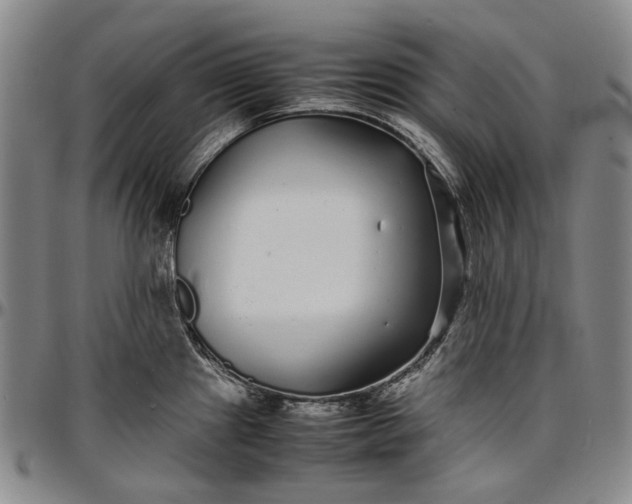 X0000096651241200802191235